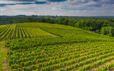 Domaine de Saint Amand commits to viticultural practices that are totally  respectful of the environnement