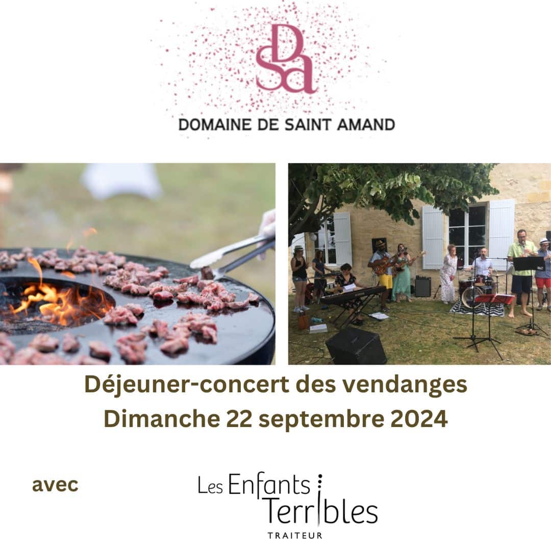 domaine de saint amand rouge coup de coeur