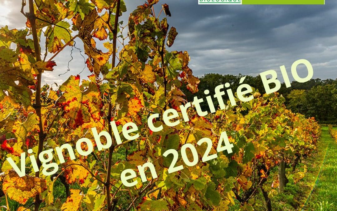 2024, année de la certification BIO